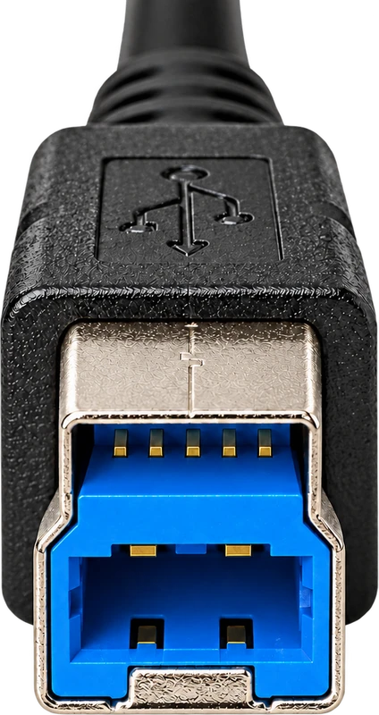 USB 3.0 Type-Bのケーブル側プラグ。上段の開口は銀色の内壁に囲まれ、5つの金色の接点が見える